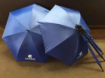 ホテルリブマックス浅草スカイフロント 東京都 ホテル
